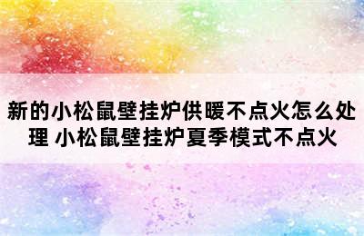 新的小松鼠壁挂炉供暖不点火怎么处理 小松鼠壁挂炉夏季模式不点火